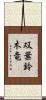 双葉鈴木竜 Scroll