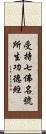 受持七佛名號所生功德經 Scroll