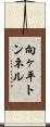 向ヶ平トンネル Scroll