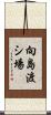 向島渡シ場 Scroll