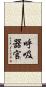 呼吸器官 Scroll