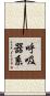 呼吸器系 Scroll