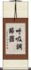 呼吸調節器 Scroll