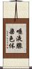 唾液腺染色体 Scroll