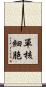 單核細胞 Scroll