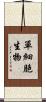 單細胞生物 Scroll