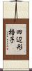 四辺形格子 Scroll