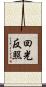 回光反照 Scroll