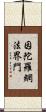 因陀羅網法界門 Scroll