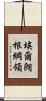 埃爾朗根綱領 Scroll