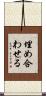 埋め合わせる Scroll