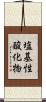 塩基性酸化物 Scroll