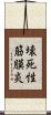 壊死性筋膜炎 Scroll