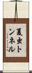 夏虫トンネル Scroll