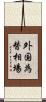 外国為替相場 Scroll