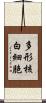 多形核白細胞 Scroll