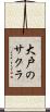 大戸のサクラ Scroll