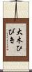 大木ひびき Scroll