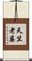 天竺老婆 Scroll