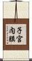 子宮内膜 Scroll