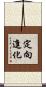 定向進化 Scroll