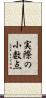 実際の小数点 Scroll