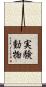 実験動物 Scroll