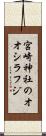 宮崎神社のオオシラフジ Scroll