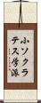 小ソクラテス学派 Scroll