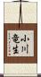 小川竜生 Scroll