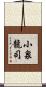 小泉龍司 Scroll