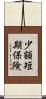 少額短期保険 Scroll