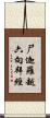 尸迦羅越六向拜經 Scroll