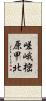嵯峨樒原甲北 Scroll