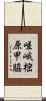 嵯峨樒原甲脇 Scroll