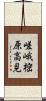 嵯峨樒原高見 Scroll