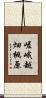 嵯峨越畑桃原 Scroll