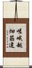 嵯峨越畑筋違 Scroll