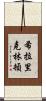 希拉里·克林頓 Scroll