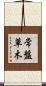常盤草木 Scroll