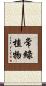 常綠植物 Scroll