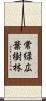 常緑広葉樹林 Scroll