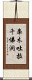 庫木吐拉千佛洞 Scroll