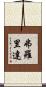 弗羅里達 Scroll