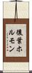 後葉ホルモン Scroll