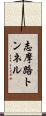 志摩路トンネル Scroll