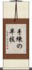手練の早技 Scroll