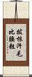 拔根汗毛比腰粗 Scroll