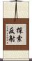 探索反射 Scroll