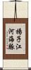 揚子江河海豚 Scroll